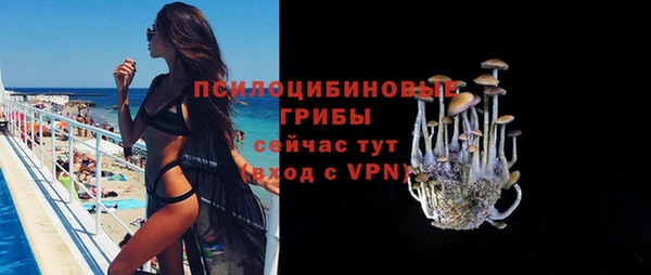 гашик Балахна