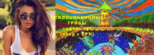 спайс Мегион