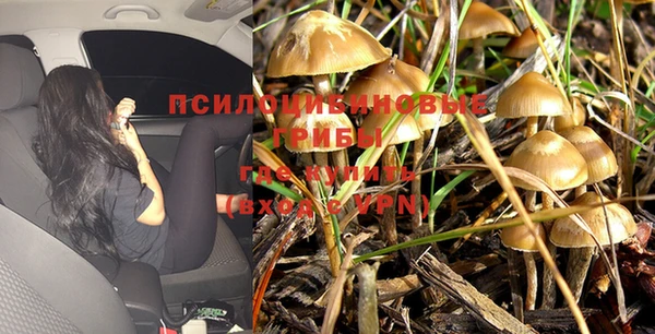гашик Балахна