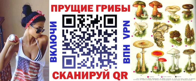 хочу наркоту  Суджа  Псилоцибиновые грибы Psilocybe 