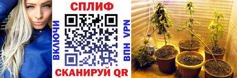 Шишки марихуана MAZAR  Суджа 